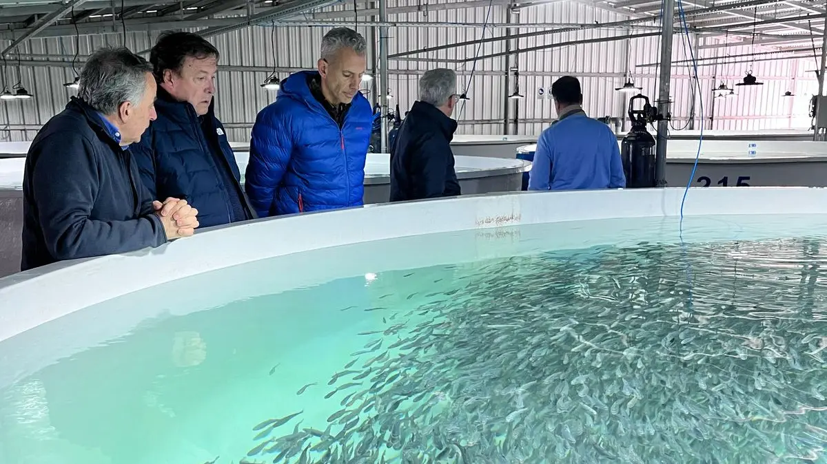 Se consolida en Río Negro la acuicultura como nueva frontera productiva