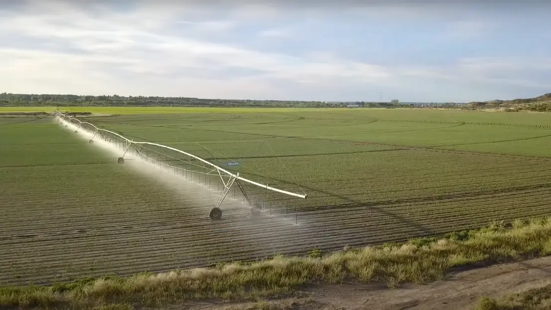 Mapa Productivo Rionegrino: una herramienta clave para el desarrollo