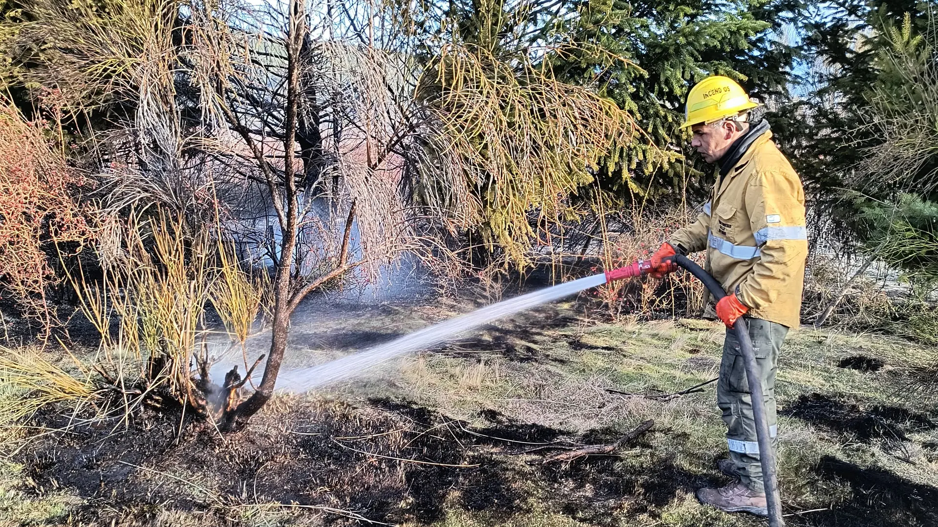 Incendios forestales: refuerzan la prevención y advierten riesgo climático