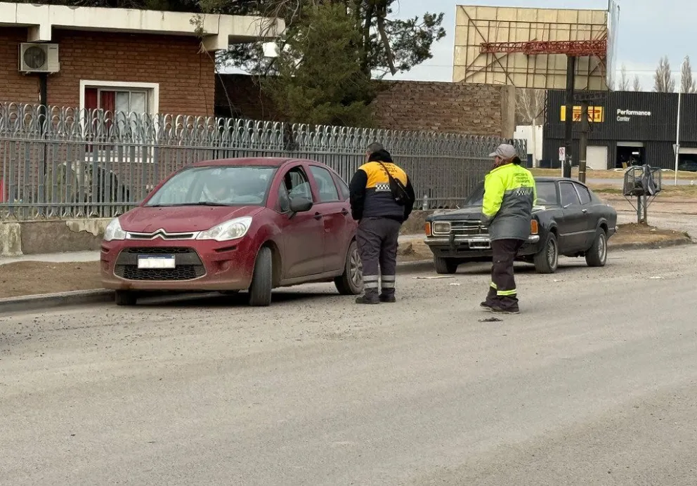 Controles en la terminal: detectaron 10 vehiculos sin la documentación en regla