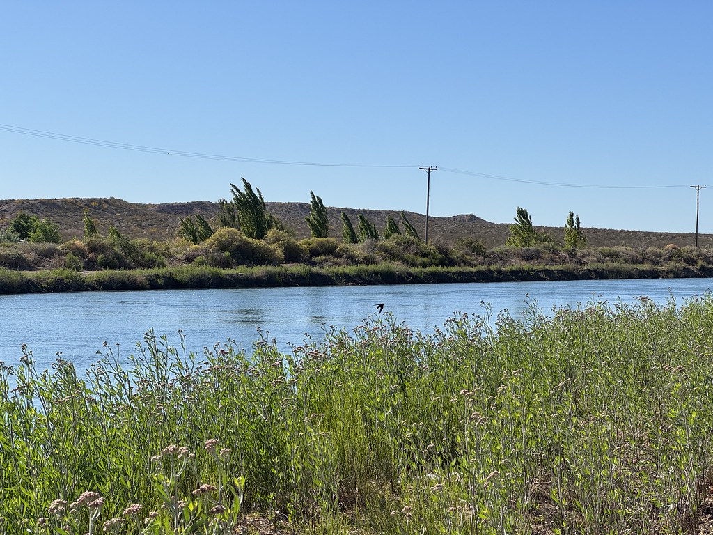 Precaución: Jornadas de Viento en la Región