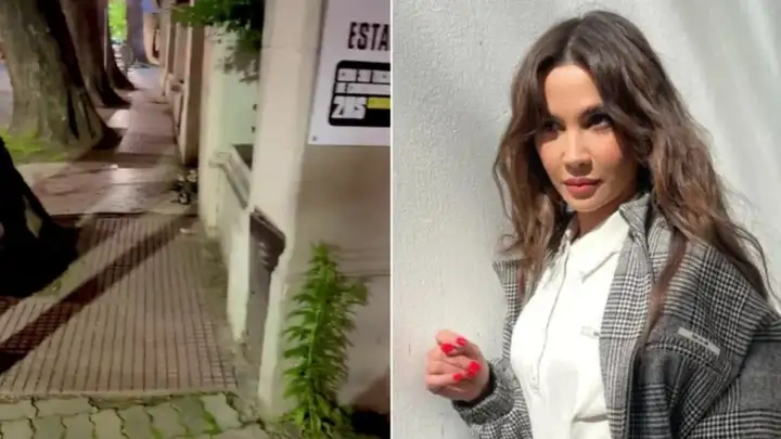 Celeste Cid sorprendió al mostrar el video del tierno animal que se cruzó en la calle