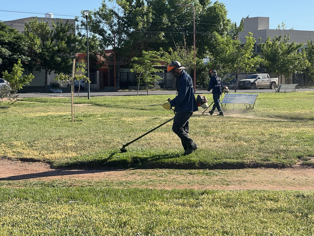 Municipio Realiza el Corte de Césped de Más de 30.000 Metros Cuadrados de Espacios Verdes por Día