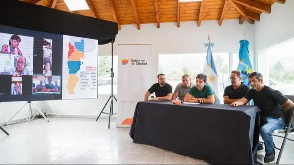 Incendios: gobernadores pidieron a Nación tratar ya la Ley de Emergencia Ígnea