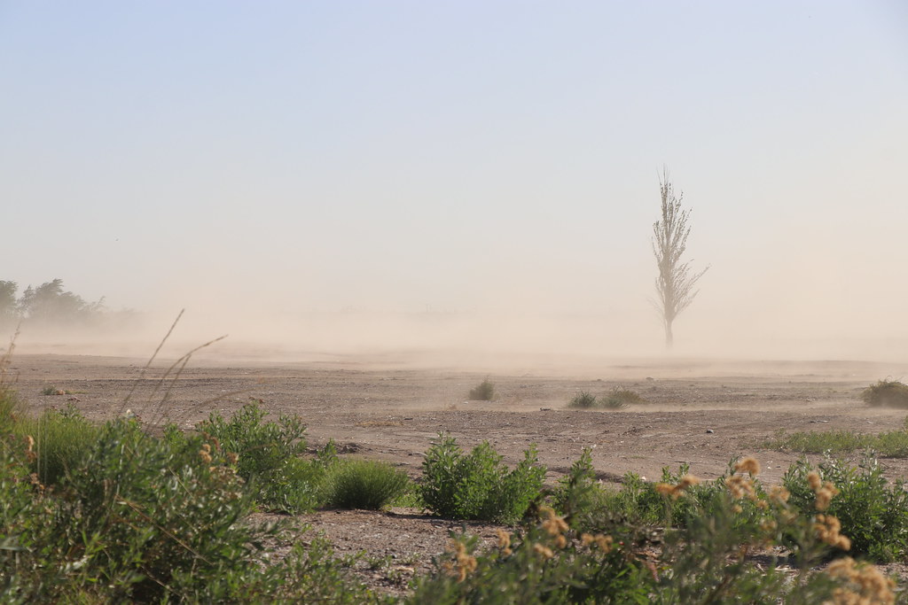 Alerta naranja por fuertes vientos: de cuánto serán las ráfagas más fuertes y a qué horario
