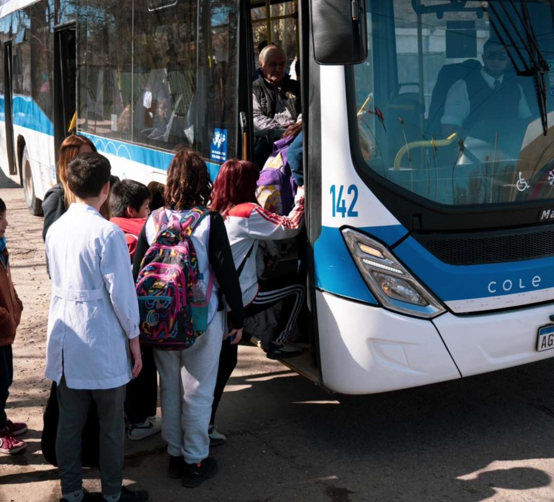 Comenzó la entrega del boleto estudiantil para universitarios