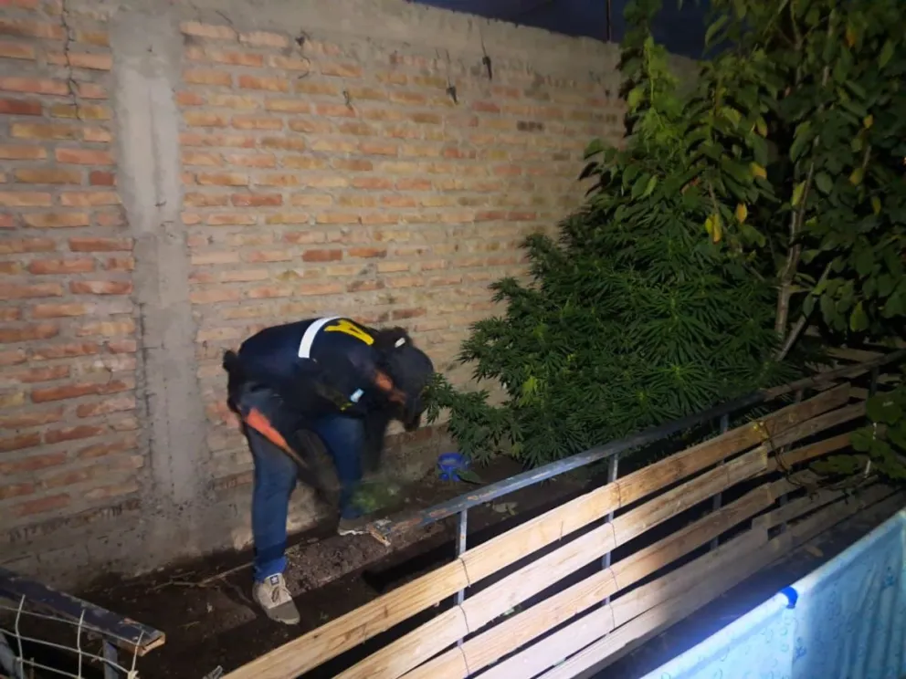 Dos casas, un circuito oculto: cómo operaban los bunkers desmantelados en Anai Mapu