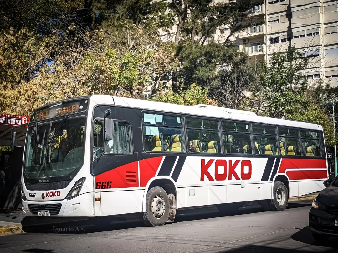 Colectivo KoKo: mujer sufrió fractura de vértebra tras pasar un badén y espera cirugía