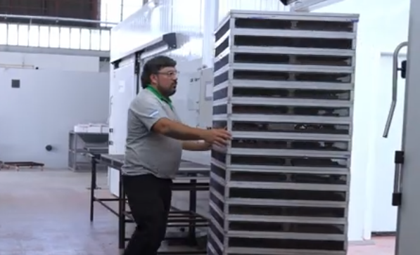 FUNBAPA incorpora tecnología en Allen para reforzar el control de la mosca de los frutos