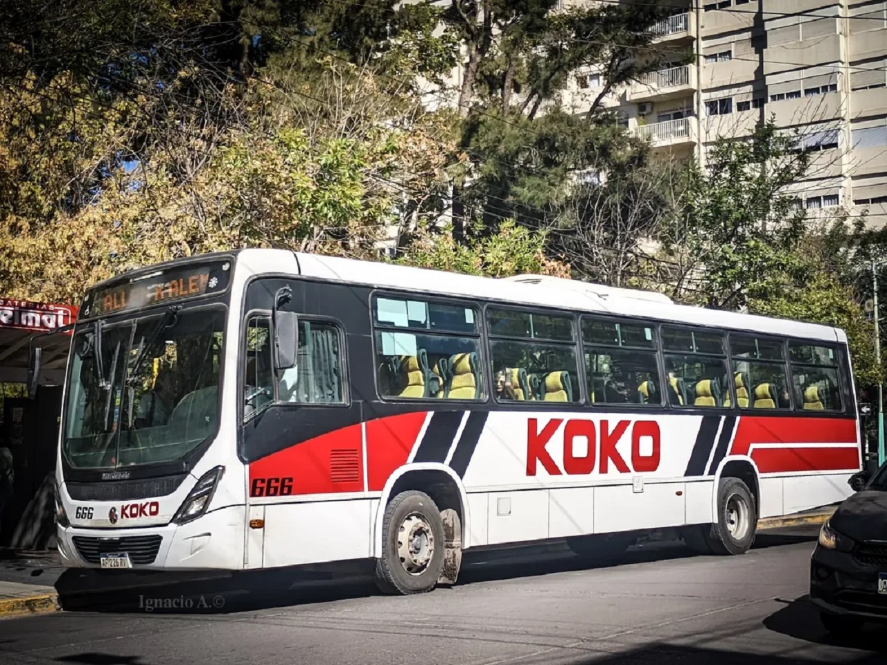 Ko-Ko despidió al chofer del viaje que dejó a una mujer en terapia intensiva