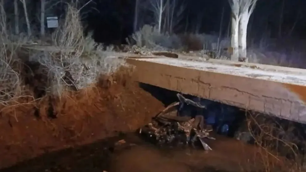 Ruta 7: una familia chocó contra un caballo y una nena fue derivada grave a Neuquén