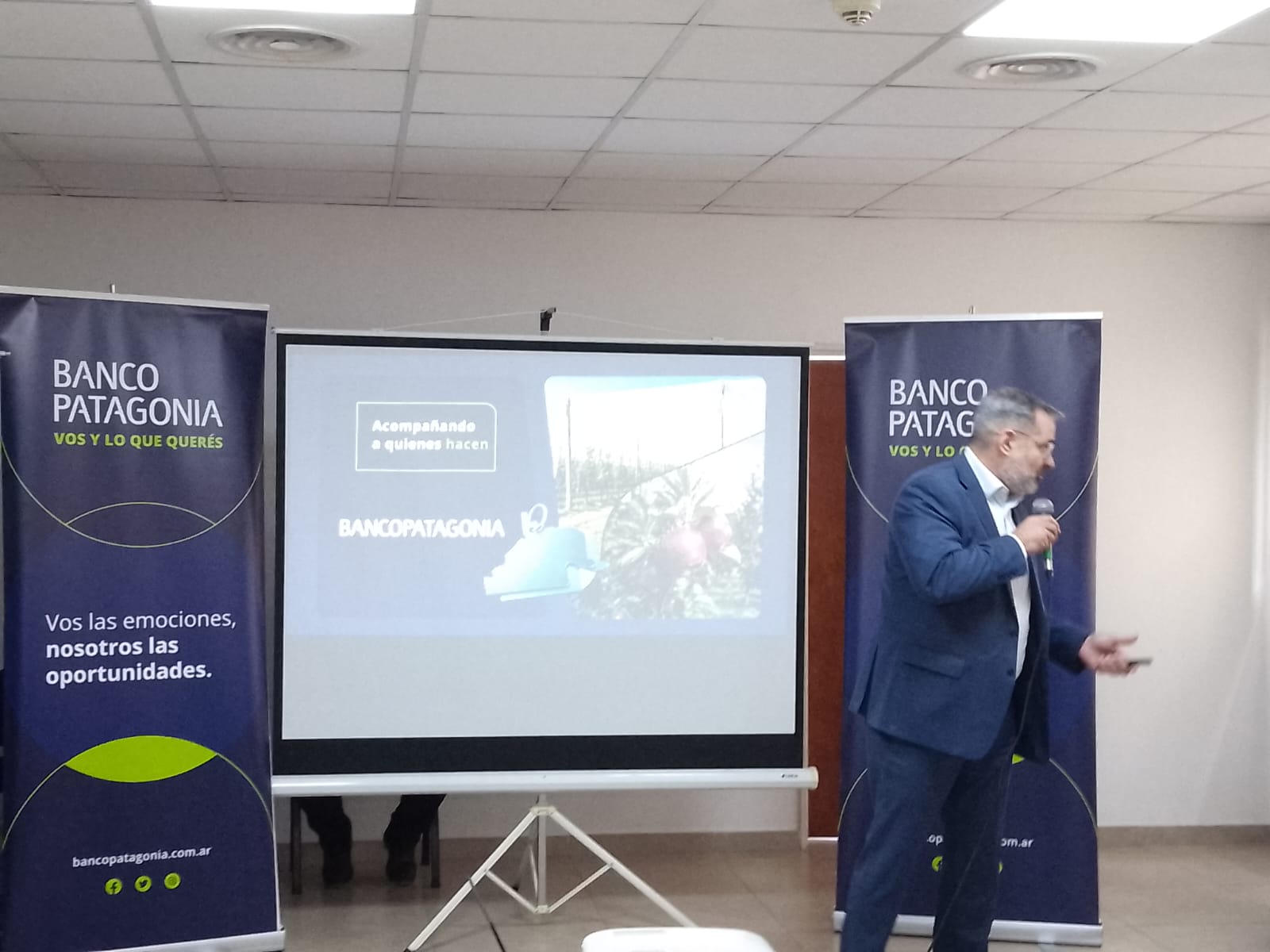 Un alivio para los productores: cómo funcionan los nuevos créditos del banco Patagonia para instalar mallas antigranizo en la provincia